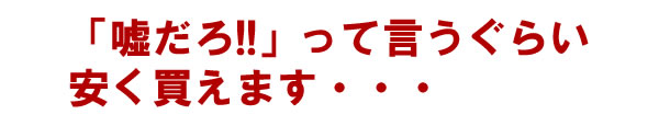 サンプル